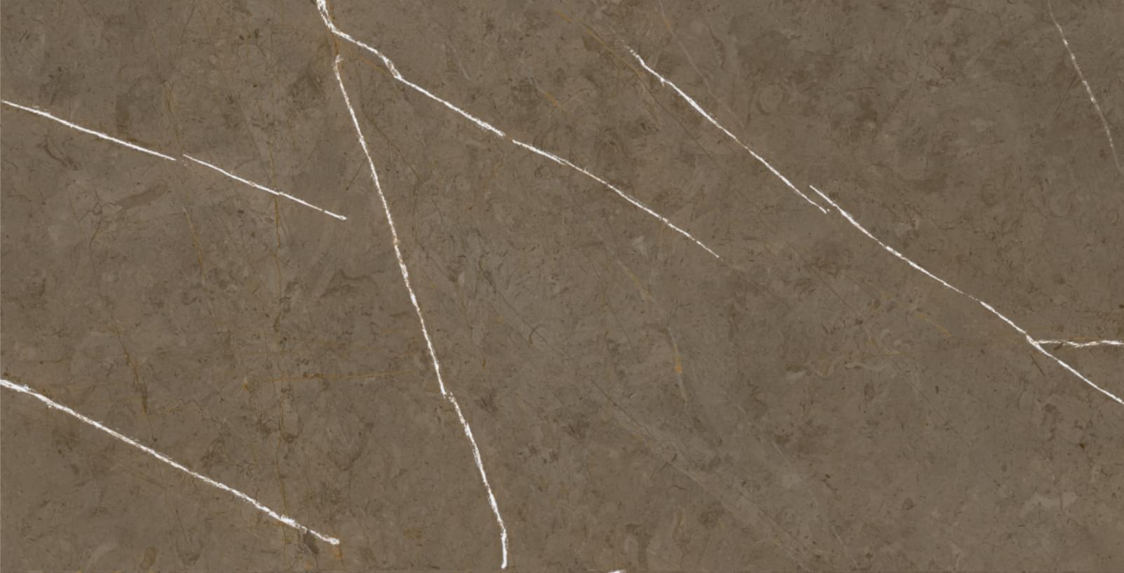 Basconi Home Porcelain Stone Brown 3D Ink Soft Glaze 60x120