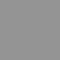 Плитка Bassanesi Colours Light Grey 23.25x23.25 см, поверхность матовая
