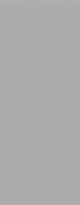 Плитка Bassanesi Shades Dark Grey 31.2x79.7 см, поверхность матовая