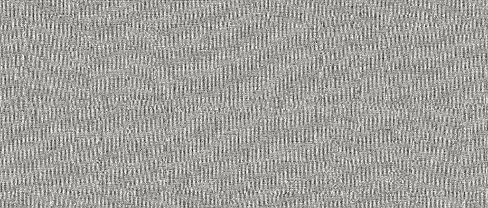 Bassanesi Silk Light Grey 25.4x60.8