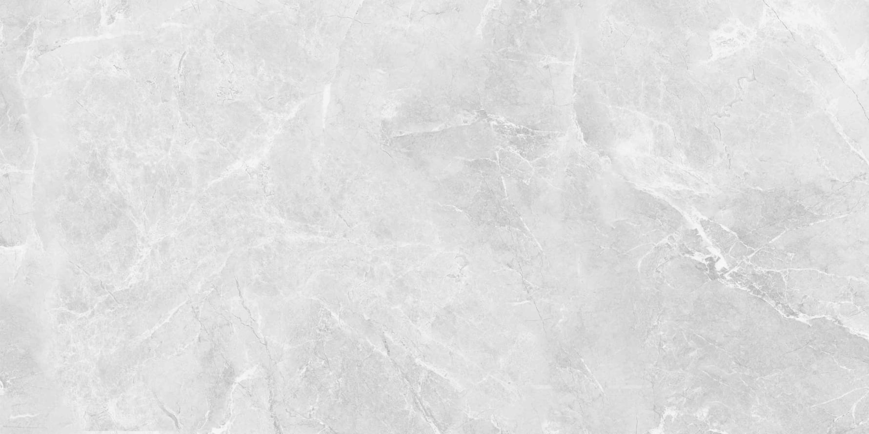 Belleza Carving Ambition Silver Carving 60x120 Belleza Carving Ambition Silver Carving 60x120