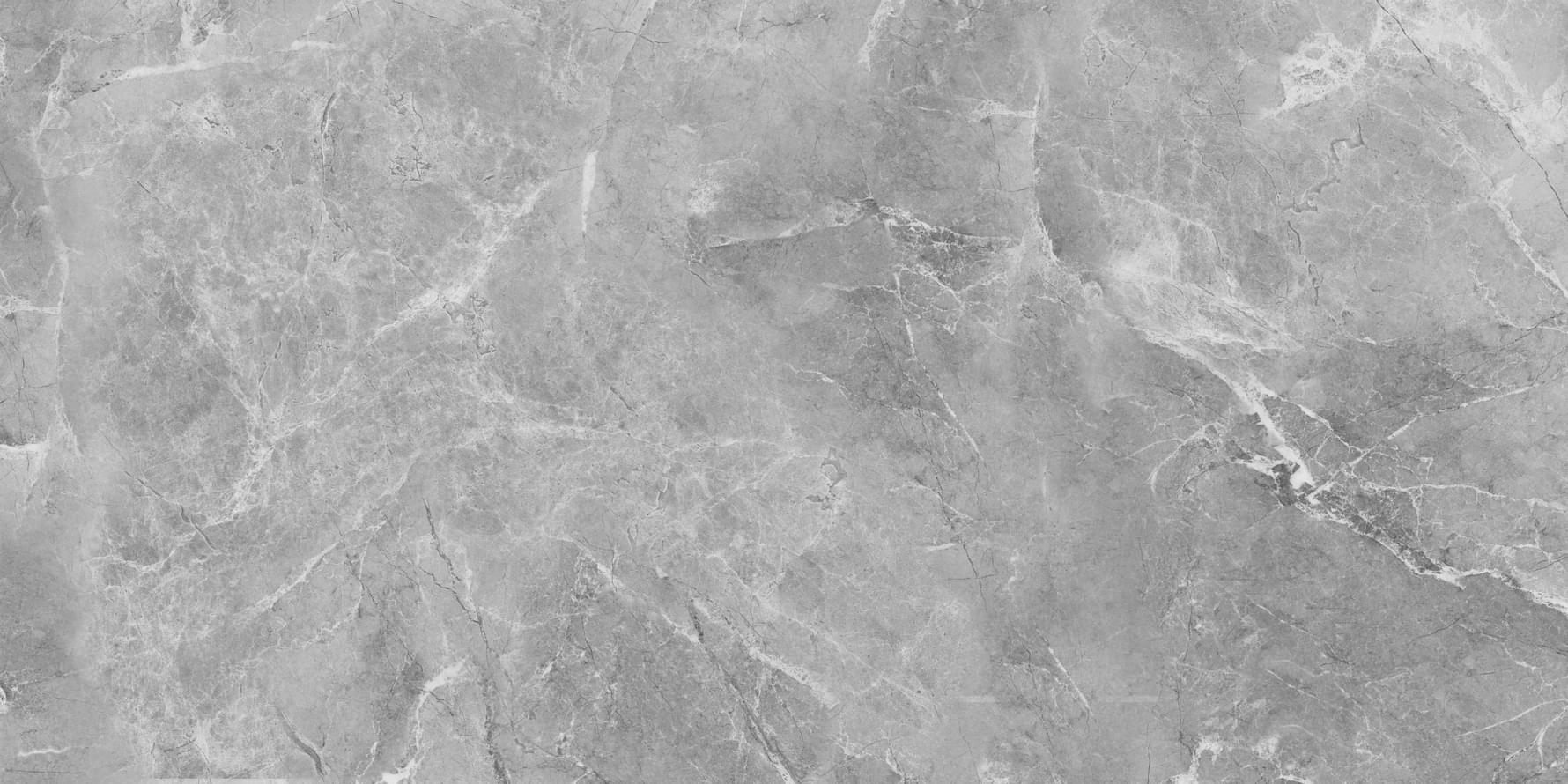 Belleza Glossy Ambition Grey Glossy 60x120 Belleza Glossy Ambition Grey Glossy 60x120