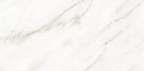 Плитка Belleza LV Granito Michlanghelo Pearl Glossy 60x120 см, поверхность полированная