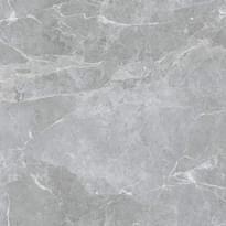 Плитка Belleza LV Granito Rs 161 Gris Endless Carving 60x60 см, поверхность матовая, рельефная