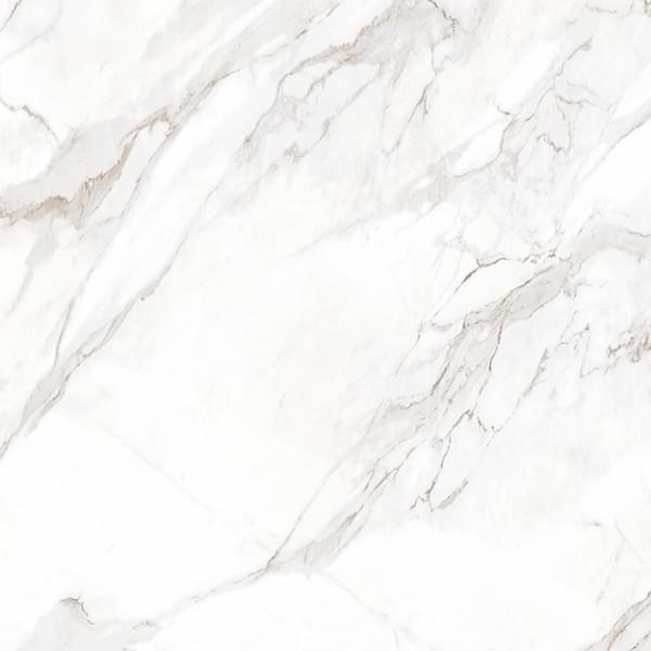 Belleza Marble Attica White Matt 60x60