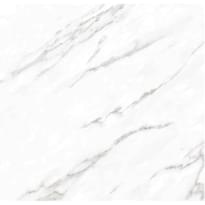 Плитка Belleza Marble Calcutta Marble Полир 60x60 см, поверхность полированная