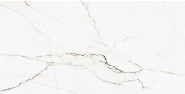 Belleza Marble Calсatta Montreal Polish 60x120