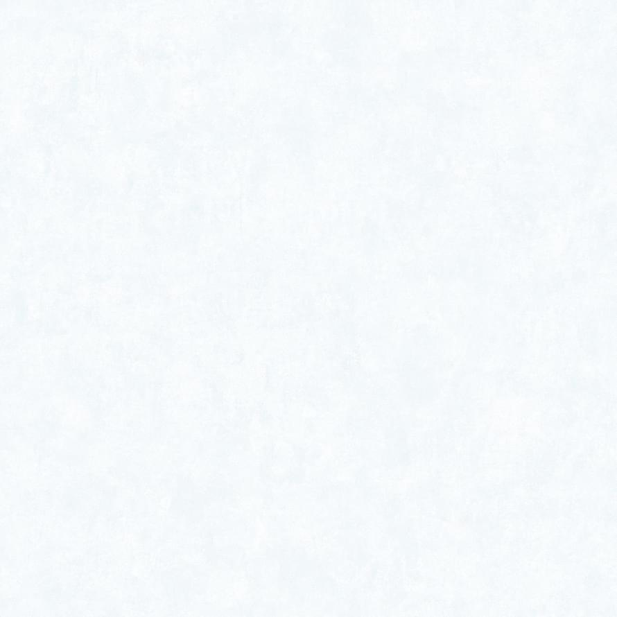 Bernardo Bartalucci Blue Bigi 5067-10 10.05м x 106см поверхность матовая