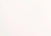 Bernardo Bartalucci Blue Coco 5088-36 10.05м x 106см поверхность матовая