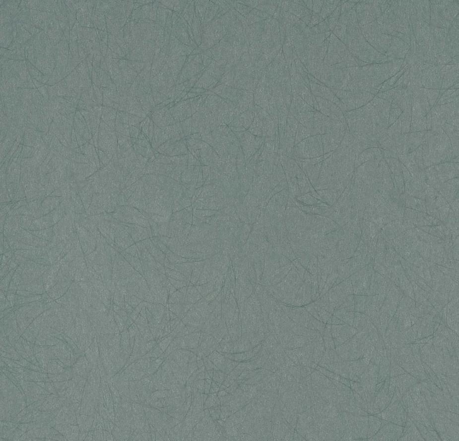 Bernardo Bartalucci Blue Legend 5068-49 10.05м x 106см поверхность матовая