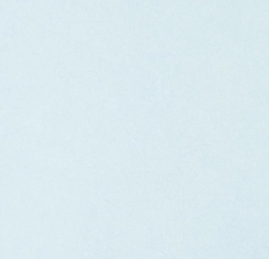 Bernardo Bartalucci Blue Legend 5068-74 10.05м x 106см поверхность матовая