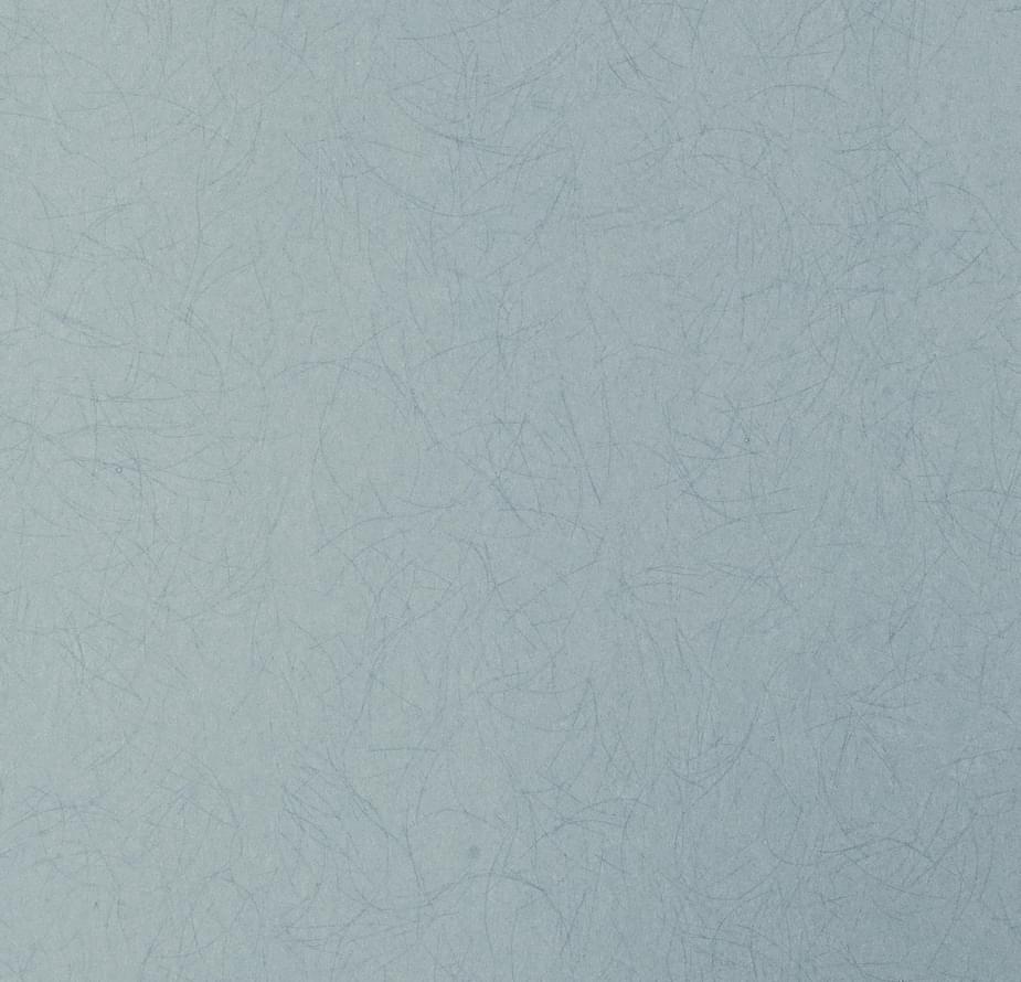 Bernardo Bartalucci Blue Legend 5068-86 10.05м x 106см поверхность матовая