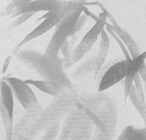 Bernardo Bartalucci Blue Legend 5069-3 10.05м x 106см поверхность матовая