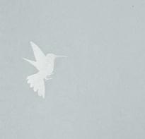 Bernardo Bartalucci Blue Legend 5071-7 10.05м x 106см поверхность матовая