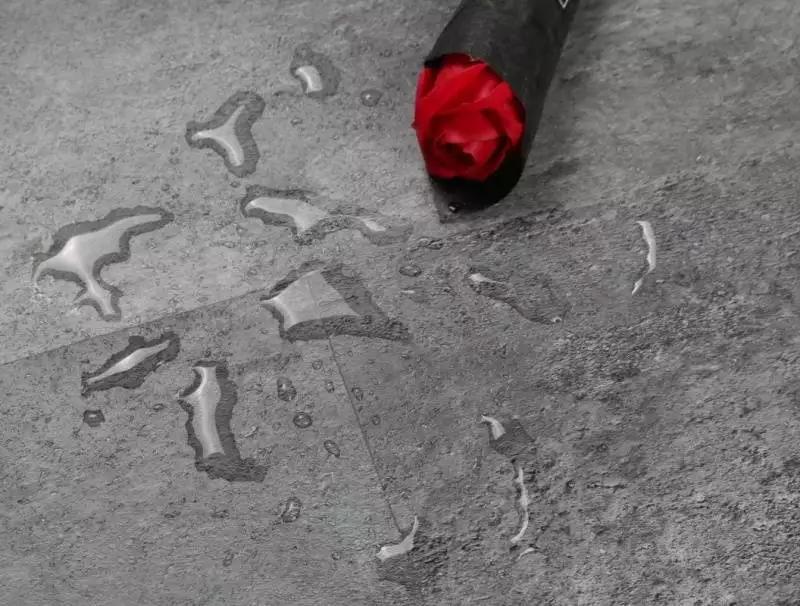 SPC фабрики Betta коллекция Monte