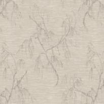 Blumarine Book 6 31025BM 10.05м x 106см поверхность