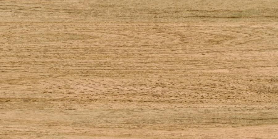 Bonaparte Marble Greenwood Great 60x120