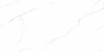 Плитка Bottega Ceramica Marvel Carrara Lap 60x120 см, поверхность полированная