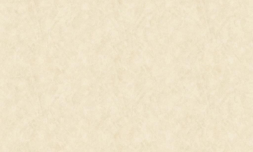 Bruno Zoff Silver 60114-3 10.05м x 106см поверхность матовая