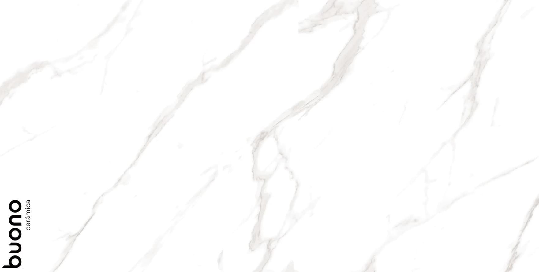 Buono Ceramica Marble Carrara Livia 60x120