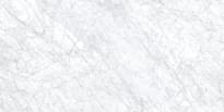 Плитка Caesar Anima Ever Supreme White 60x120 см, поверхность матовая