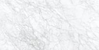 Плитка Caesar Anima Ever Supreme White Lucidato 60x120 см, поверхность полированная