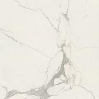 Плитка Caesar Anima Futura Majestic White 120x120 см, поверхность полированная