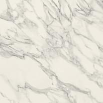 Плитка Caesar Anima Select Bianco Arabesco Lucidato 120x120 см, поверхность полированная