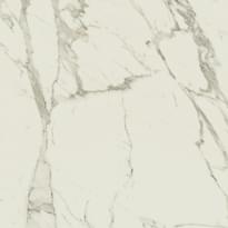 Плитка Caesar Anima Calacatta Lp 120x120 см, поверхность полуполированная