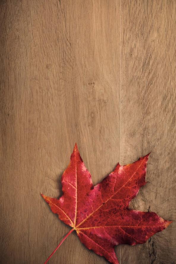 керамогранит фабрики Caesar коллекция Arthis