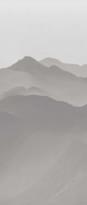 Плитка Caesar Misura Deco Landscape Grey A 119.5x278 см, поверхность матовая