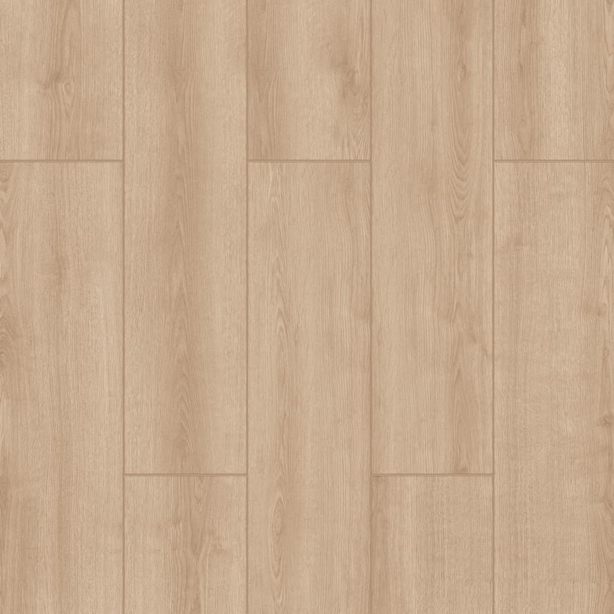 Camsan Platinum 2102 Дуб Белград 19x138