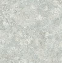 Carl Robinson Edition 17 Loft 80504 CR 8.2м x 68.6см поверхность матовая