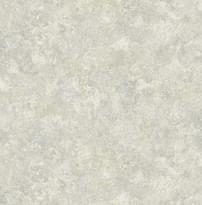 Carl Robinson Edition 17 Loft 80508 CR 8.2м x 68.6см поверхность матовая