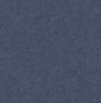Carl Robinson Edition 17 Loft 81202 CR 8.2м x 68.6см поверхность матовая