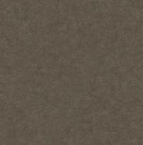Carl Robinson Edition 17 Loft 81216 CR 8.2м x 68.6см поверхность матовая