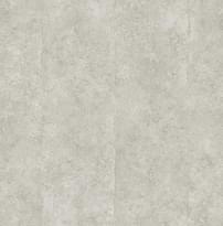 Carl Robinson Edition 17 Loft 81710 CR 8.2м x 68.6см поверхность матовая