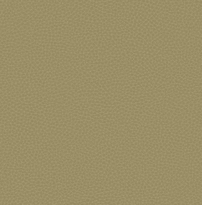 Carl Robinson Edition 17 Loft 83005 CR 8.2x68.6