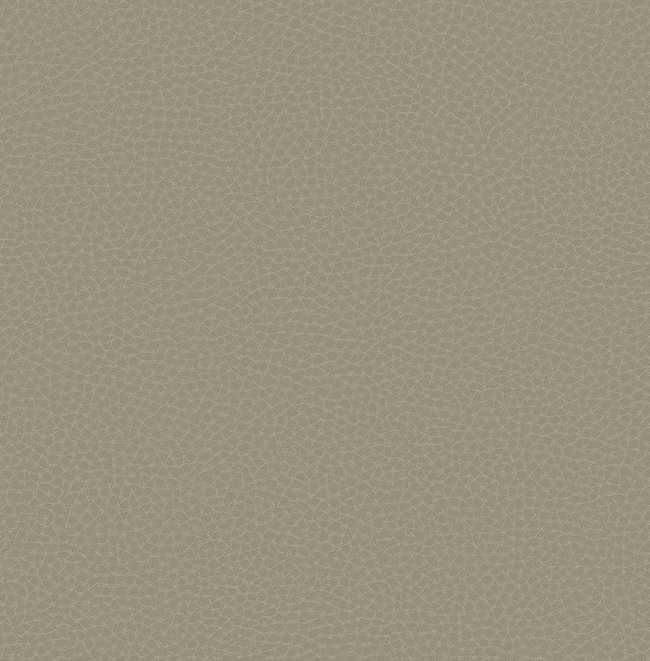 Carl Robinson Edition 17 Loft 83006 CR 8.2x68.6