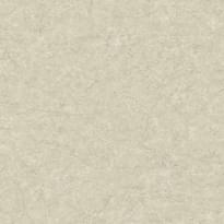 Carl Robinson Edition 17 Loft 86207 CR 10м x 137см поверхность матовая