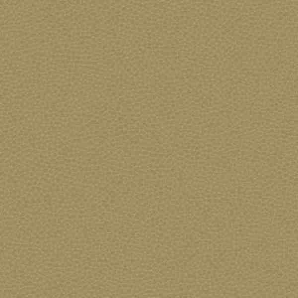 Carl Robinson Edition 17 Loft 88005 CR 10x137
