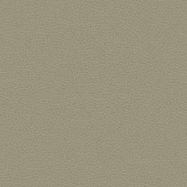 Carl Robinson Edition 17 Loft 88006 CR 10x137