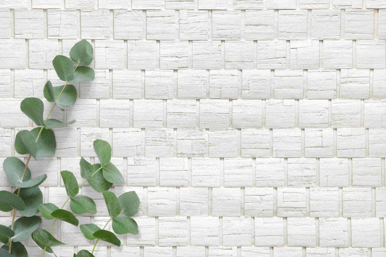 обои фабрики Carl Robinson коллекция Edition 20 Natural White