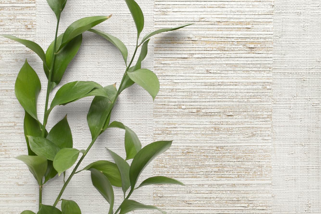 обои фабрики Carl Robinson коллекция Edition 20 Natural White