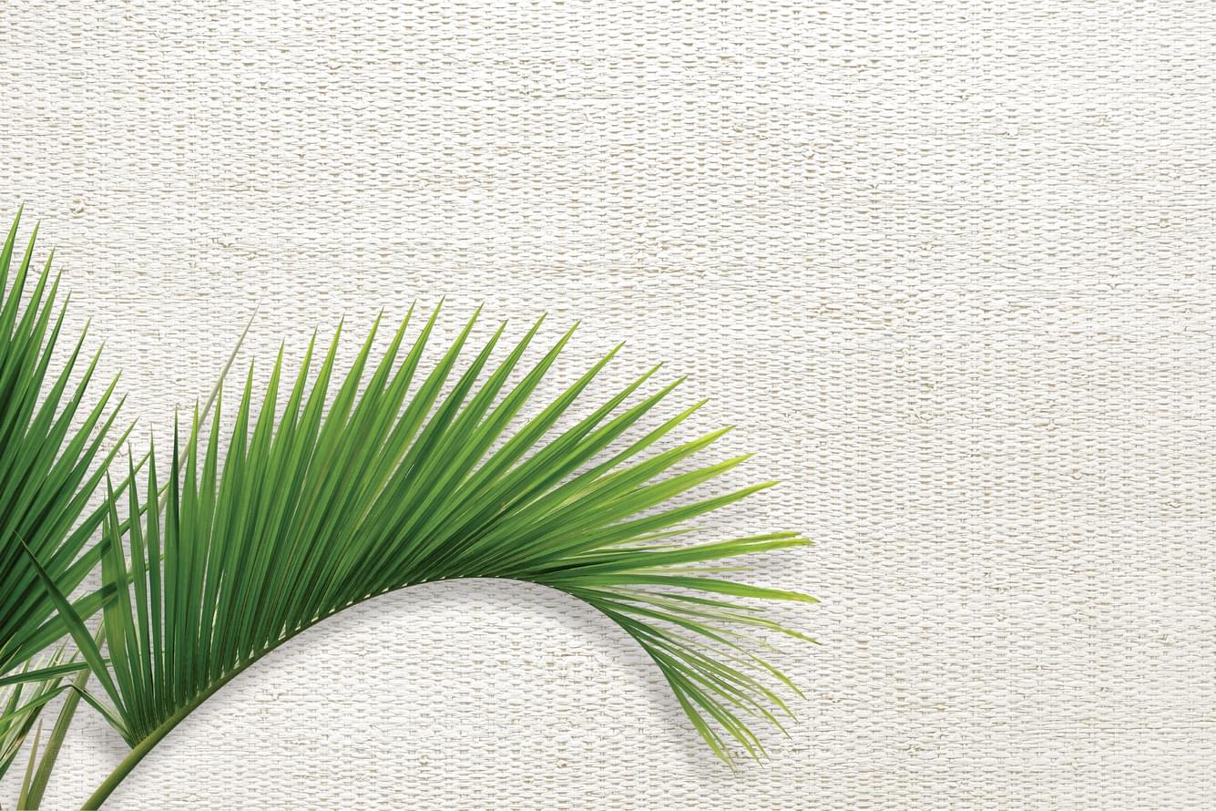 обои фабрики Carl Robinson коллекция Edition 20 Natural White