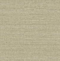 Carl Robinson Edition 21 The Gentleman CL70305 8.2м x 68см поверхность матовая
