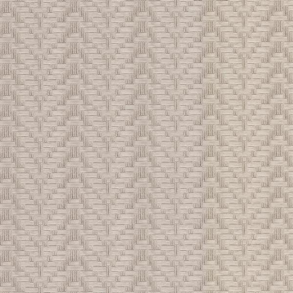 Carlisle And Co High Performance Vinyl Insignia Taupe 10x137
