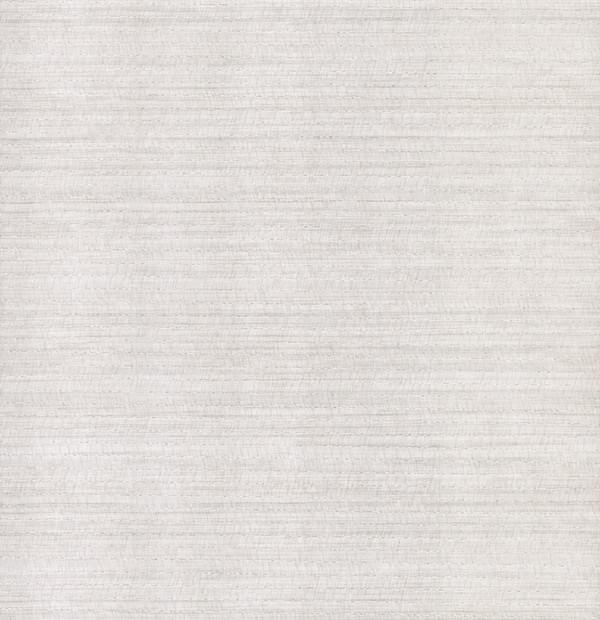 Carlisle And Co High Performance Vinyl Palisade Platinum 10x137