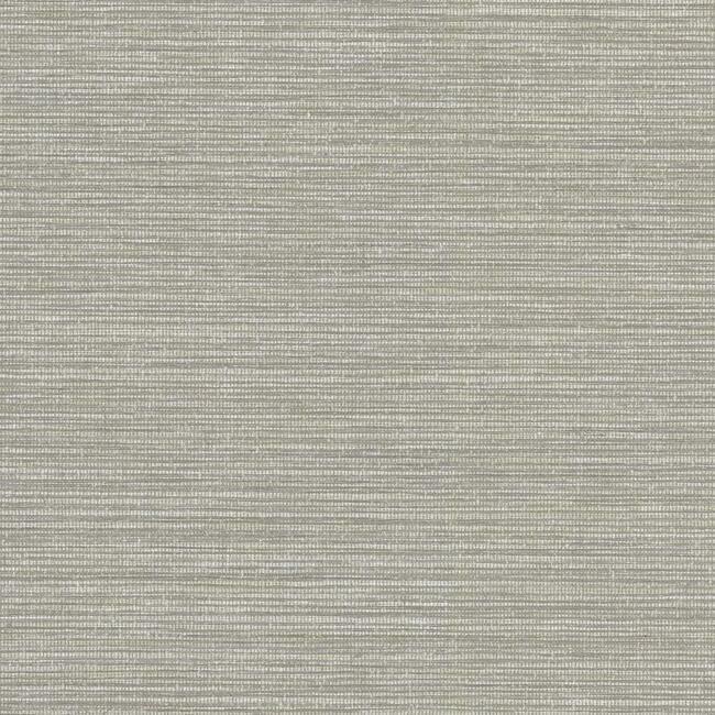 Carlisle And Co High Performance Vinyl Sisal Vinyl Soft Silver 10x140.9