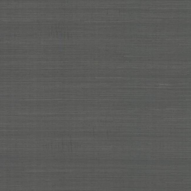 Carlisle And Co Naturals Abaca Horizon Anchor 7.32x91